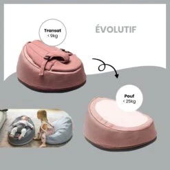 BabyMoov Transat Doomoo Seat'n Swing Pink -Magasin De Périphériques Pour Enfants doomoo seatn swing pink balancelle incluse babymoov OJ