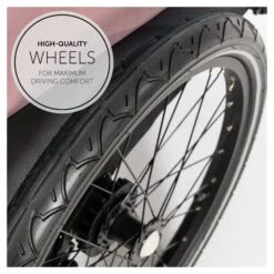HAUCK Remorque De Vélo Dryk Duo Rose -Magasin De Périphériques Pour Enfants dryk duo rose hauck OI