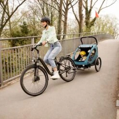 HAUCK Remorque De Vélo Dryk Duo Rose -Magasin De Périphériques Pour Enfants dryk duo rose hauck OM