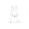 Tirelire Enfant Miffy Taille M Pure