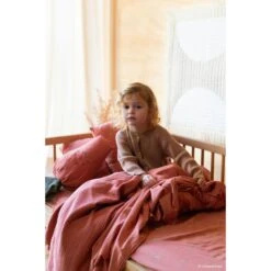 Coussin Fraise Wabi Sabi 9 Coussin Fraise Wabi Sabi -Magasin De Périphériques Pour Enfants wabi sabi strawberry cushion 28x30 nobodinoz OD